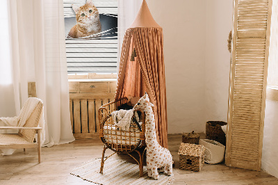 Rollo lichtundurchlässig mit Motiv einer Ingwerkatze
