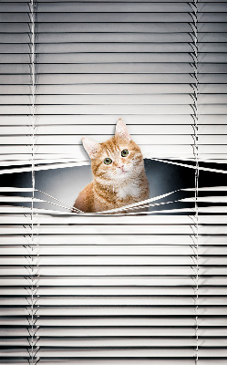 Rollo lichtundurchlässig mit Motiv einer Ingwerkatze
