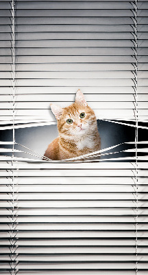 Rollo lichtundurchlässig mit Motiv einer Ingwerkatze