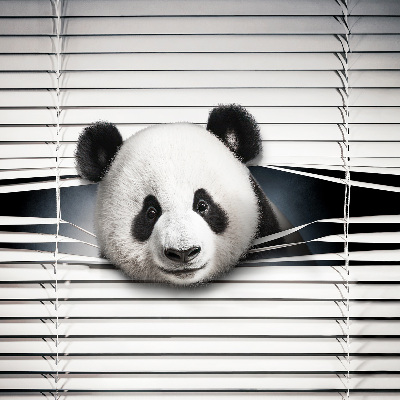 Fenster Rollo mit Motiv Panda