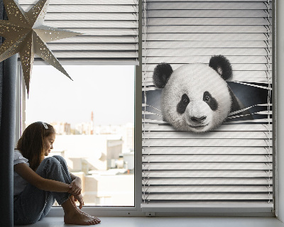 Fenster Rollo mit Motiv Panda