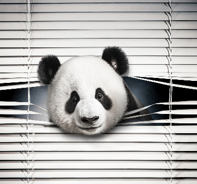 Fenster Rollo mit Motiv Panda