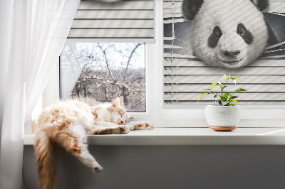 Fenster Rollo mit Motiv Panda