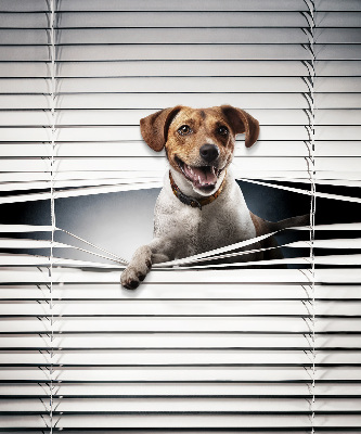 Rollo lichtundurchlässig für Hundehalter geeignet