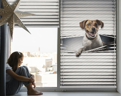 Rollo lichtundurchlässig für Hundehalter geeignet