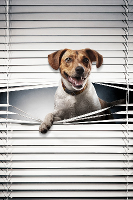 Rollo lichtundurchlässig für Hundehalter geeignet