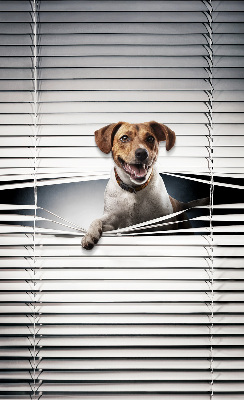 Rollo lichtundurchlässig für Hundehalter geeignet