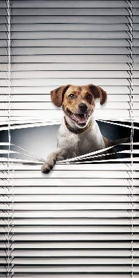Rollo lichtundurchlässig für Hundehalter geeignet