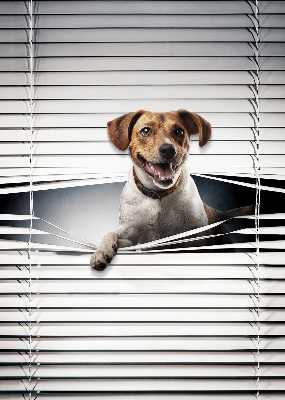 Rollo lichtundurchlässig für Hundehalter geeignet