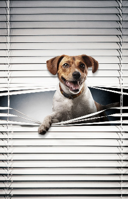 Rollo lichtundurchlässig für Hundehalter geeignet
