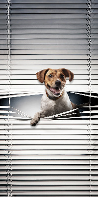 Rollo lichtundurchlässig für Hundehalter geeignet