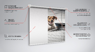Rollo lichtundurchlässig für Hundehalter geeignet