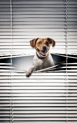 Rollo lichtundurchlässig für Hundehalter geeignet