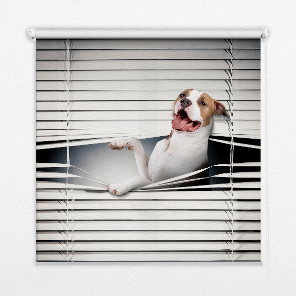 Verdunkelungsrollo für Hundehaare geeignet