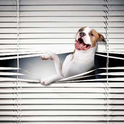 Verdunkelungsrollo für Hundehaare geeignet