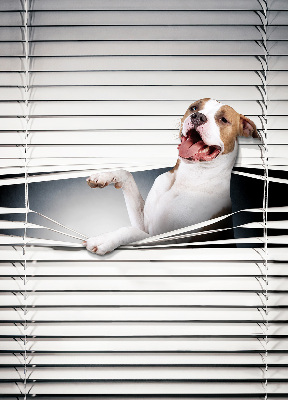 Verdunkelungsrollo für Hundehaare geeignet