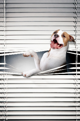 Verdunkelungsrollo für Hundehaare geeignet