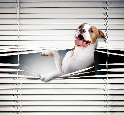Verdunkelungsrollo für Hundehaare geeignet
