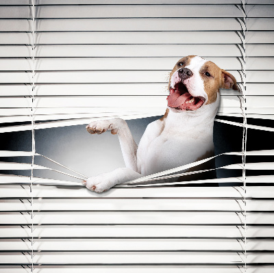Verdunkelungsrollo für Hundehaare geeignet