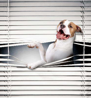 Verdunkelungsrollo für Hundehaare geeignet