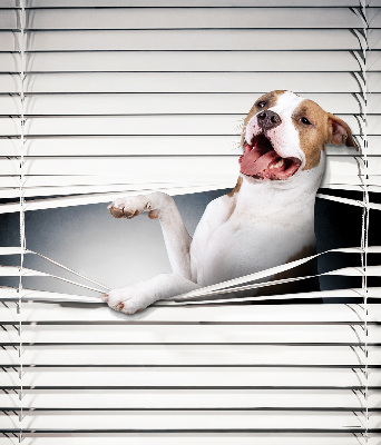 Verdunkelungsrollo für Hundehaare geeignet