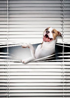 Verdunkelungsrollo für Hundehaare geeignet
