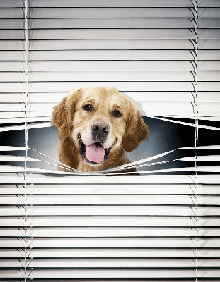 Fenster Rollo mit goldenem Hundemotiv