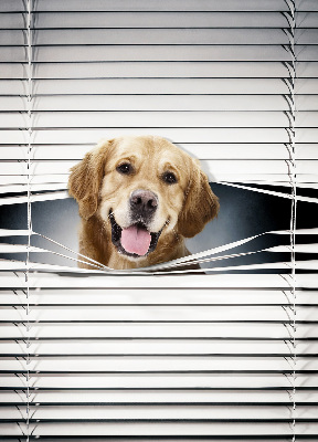 Fenster Rollo mit goldenem Hundemotiv