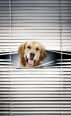 Fenster Rollo mit goldenem Hundemotiv