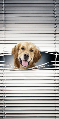 Fenster Rollo mit goldenem Hundemotiv