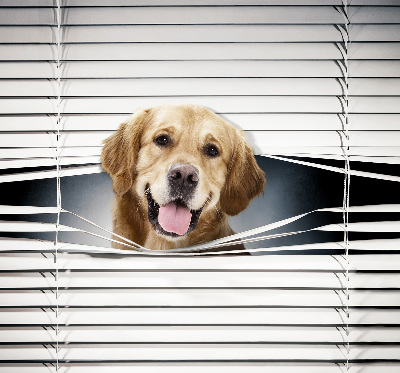 Fenster Rollo mit goldenem Hundemotiv