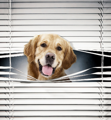 Fenster Rollo mit goldenem Hundemotiv