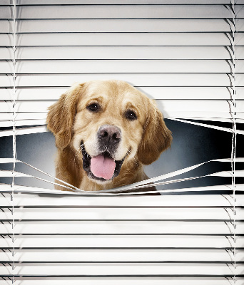 Fenster Rollo mit goldenem Hundemotiv