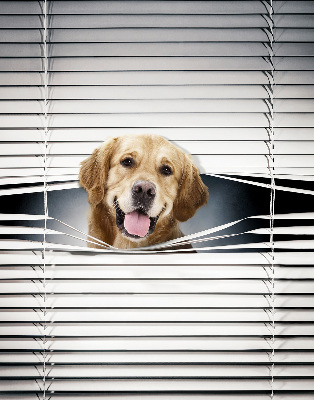 Fenster Rollo mit goldenem Hundemotiv