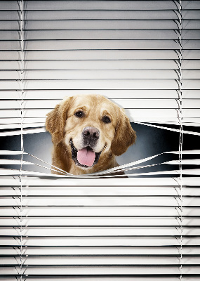 Fenster Rollo mit goldenem Hundemotiv
