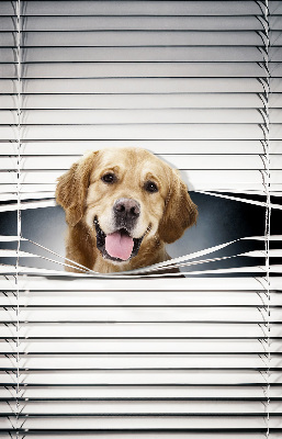 Fenster Rollo mit goldenem Hundemotiv