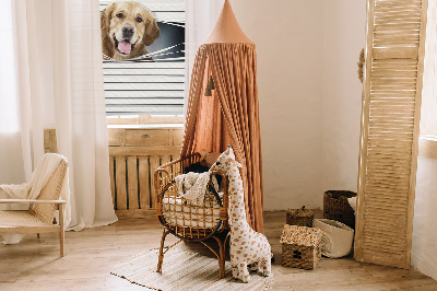 Fenster Rollo mit goldenem Hundemotiv