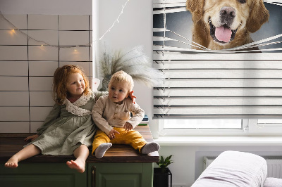 Fenster Rollo mit goldenem Hundemotiv