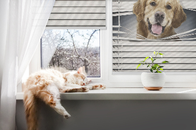 Fenster Rollo mit goldenem Hundemotiv