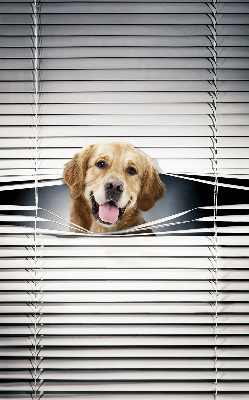 Fenster Rollo mit goldenem Hundemotiv