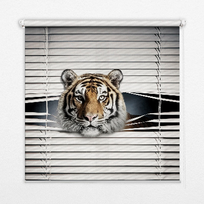 Rollo lichtundurchlässig mit Tiger-Motiv
