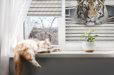 Rollo lichtundurchlässig mit Tiger-Motiv