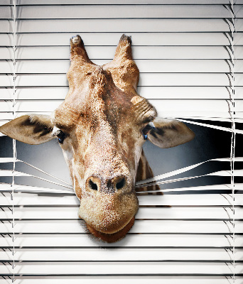 Fenster Rollo mit Giraffenmuster