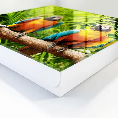 Schlüsselkasten modern Tropische Vögel
