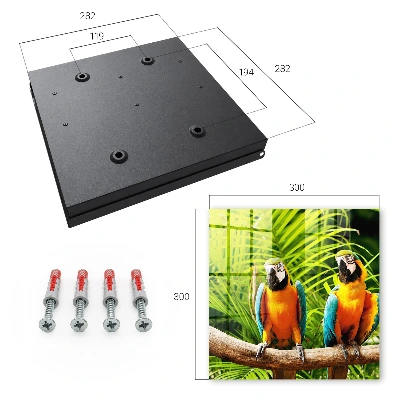 Schlüsselkasten modern Tropische Vögel