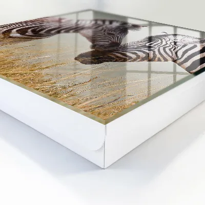 Schlüsselschrank Zebras zusammen
