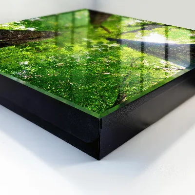 Schlüsselkasten modern Waldhimmel