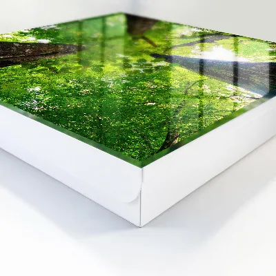 Schlüsselkasten modern Waldhimmel