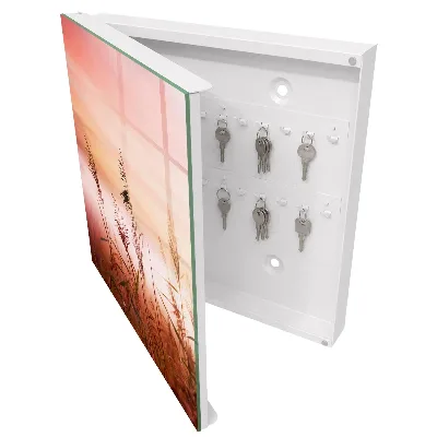 Schlüsselschrank Gräser im Morgengrauen