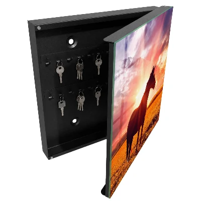 Schlüsselschrank Pferd in der Sonne